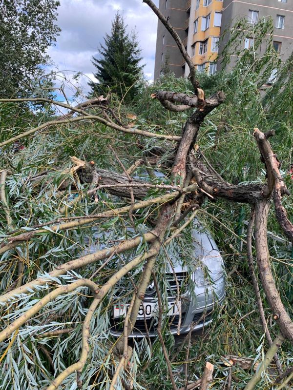 � ������� ����� ���� �����