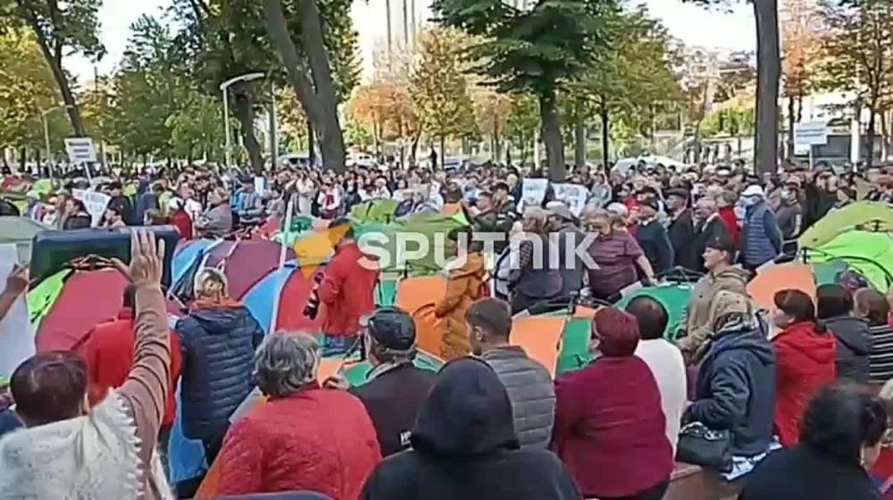 � ������� ������ ���� ������ ������������ ��������������������� ������