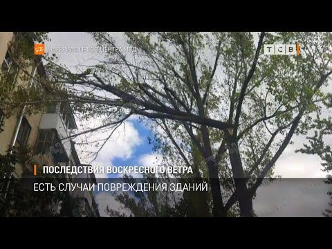 ������� ����� �� ��������, �������� ������������ ���������� � ��������������. ����� � ���������� ������� ���������� ����� ������� � �����