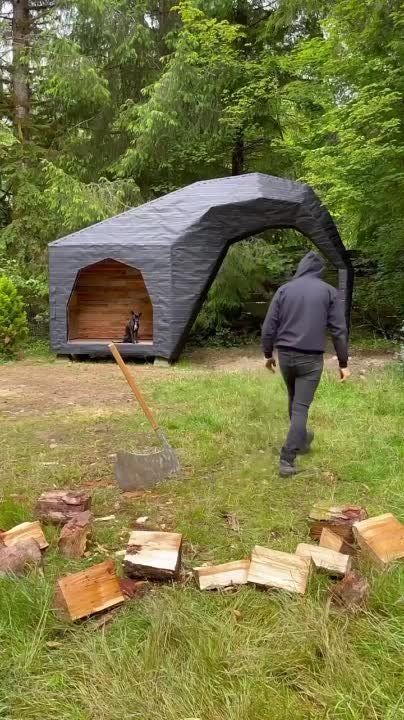 ����� ��� ������ ���������� ���� ���������� ����