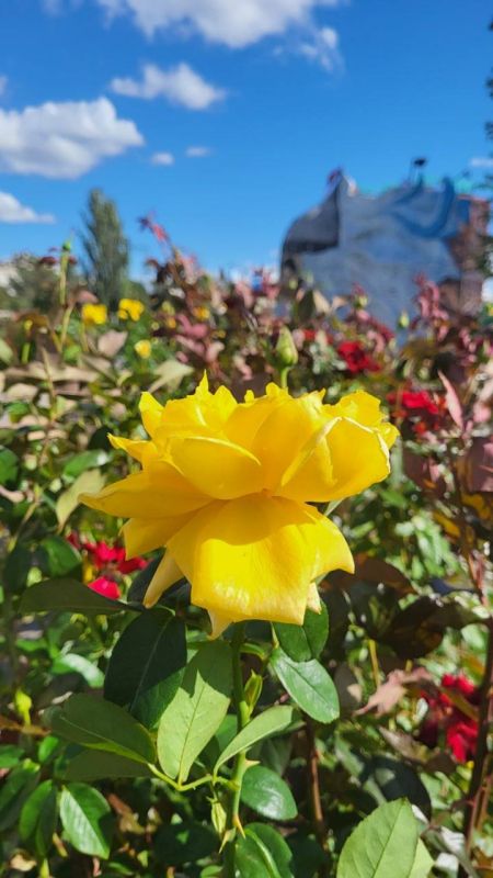 ��������� ����������.. ���� ������ ����������