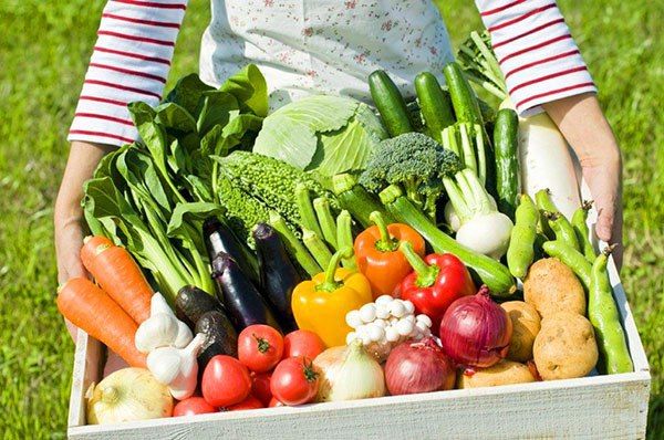 ������ �� ����. ���������� ������������. ������� ���� ������ �� ������ ������������ �������� 20.2 ���. ����, �� ���: