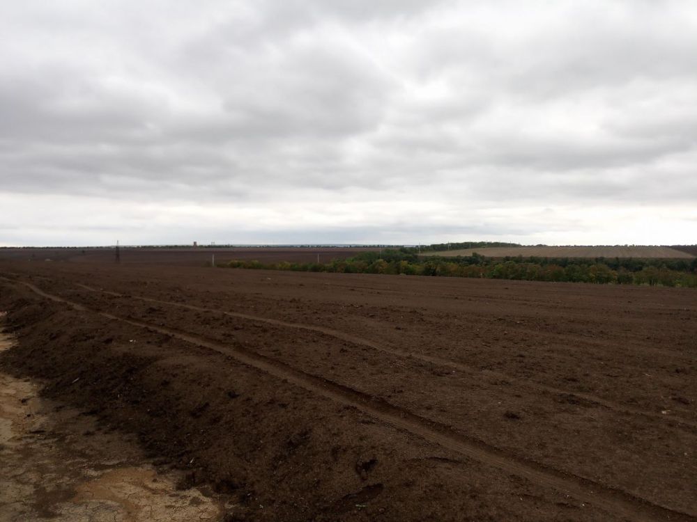 ������������� ���������� ������