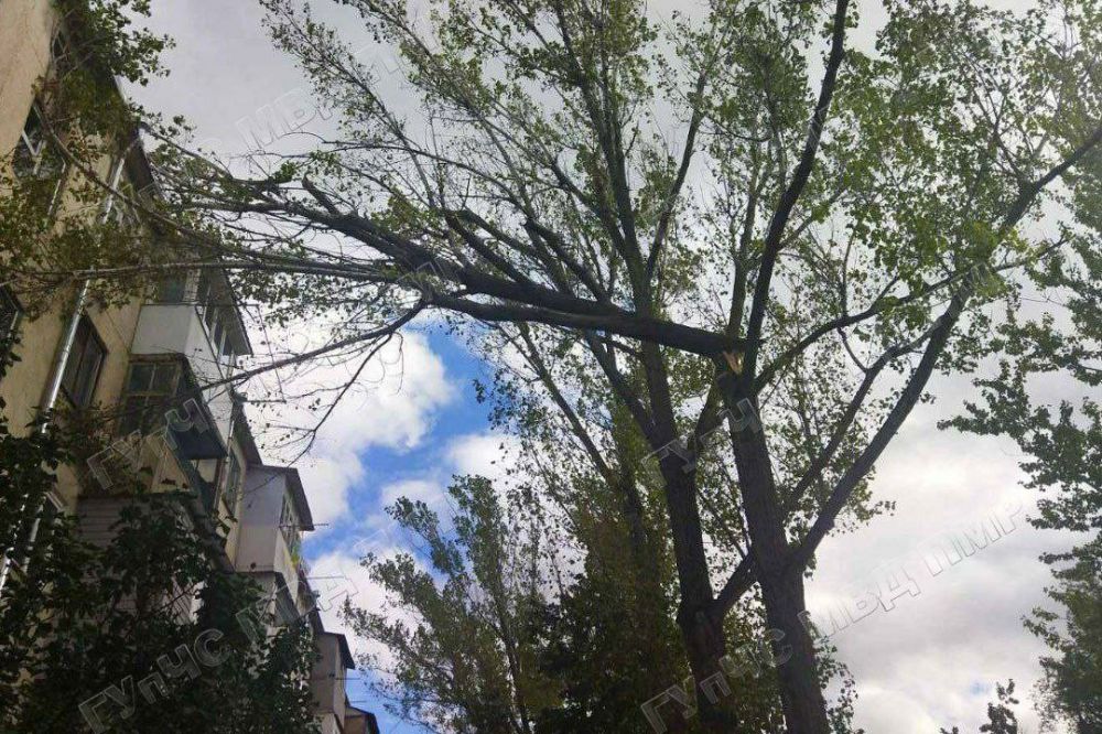 �������� � ����������. � �������� ����������� �� ������ ������ ������. ������ ����� ��������� 15 ������ � �������, ���������� ���� ��������-������������ ������������� ����� �������� �� ���������� ����������� �������� 14 ���