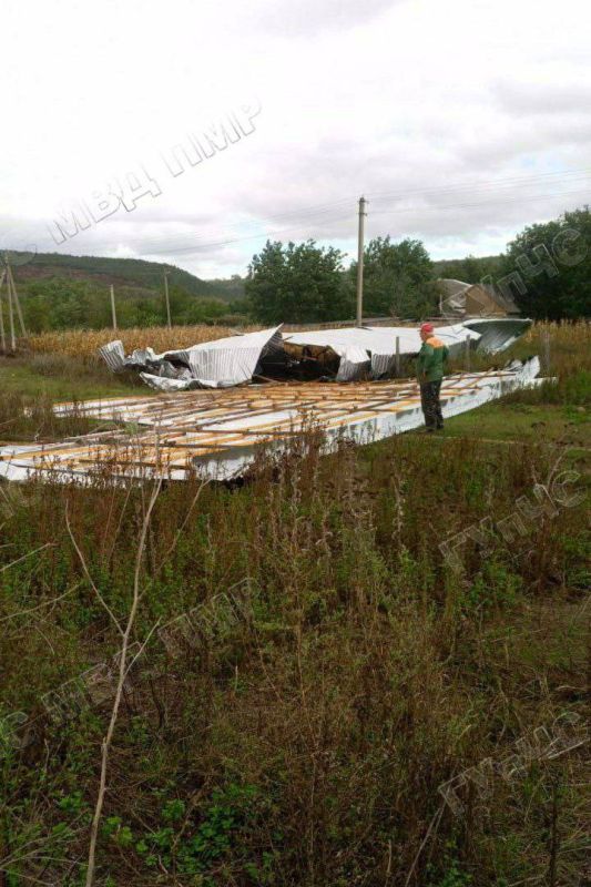 ����������� �������� ����� � ��������: