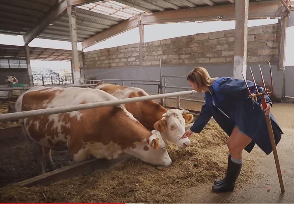 ��������� � ������. � ������ ��������, ������������, ����� � ��������, ��� ������� ������ ���������� � ���������, � ������ ������� ���������������� ���������� � ����� ������� ���� Profi. ������ 2: ������