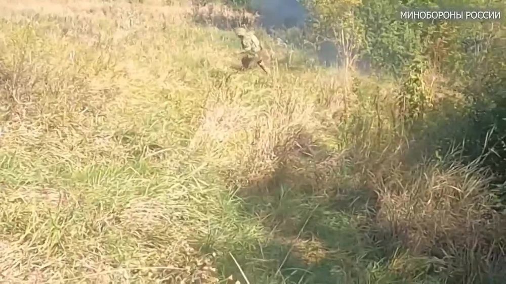 ������� ������ ����� ����� �� ��������