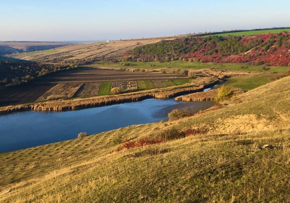 ������ �������� ���������� � ������������ ������