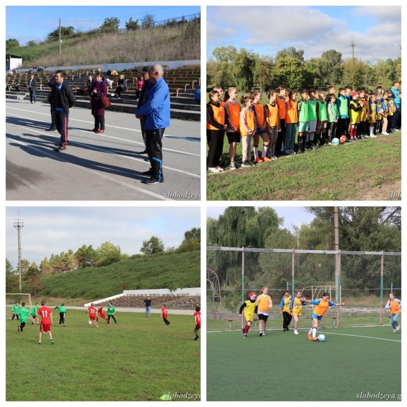 ������������ ��� ������ � ��������� �������� � ��� ��������� ������� �������� ���-2022�