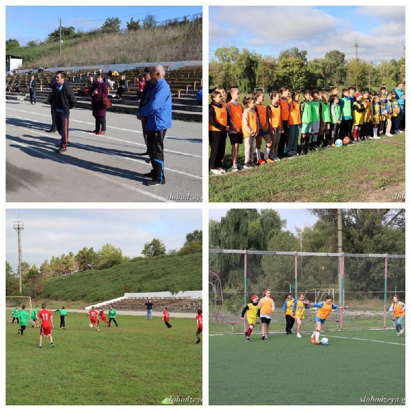 �������� ���-2022�: ���������