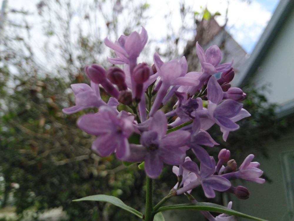 �� ����� �������� - � �������� ������� ������