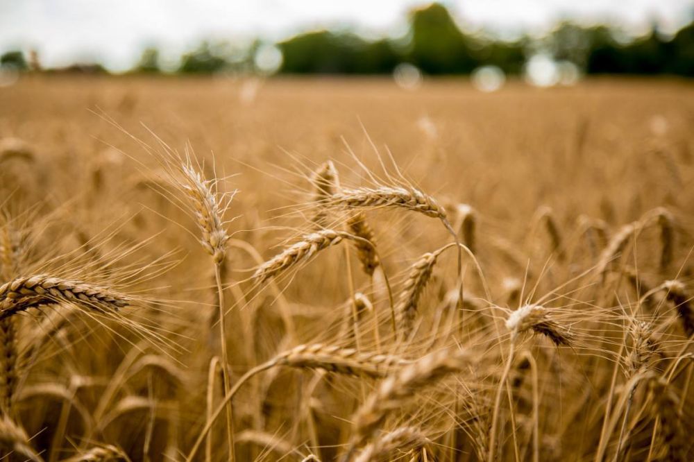 �������� ������� ��������� � ���� ���, �������� ���������� � ��������� �������