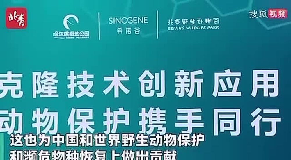 ������ �� �����a ������� � ������� ������� ��������a�� ������ a����������� ����a