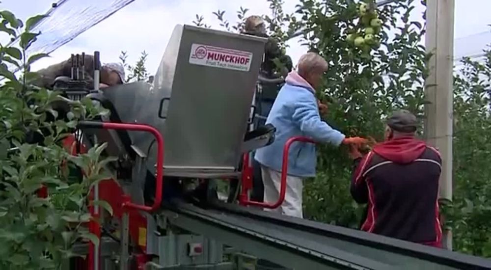 ��� ������������� ����-������ ���� ��������� ���������� ������ � �����