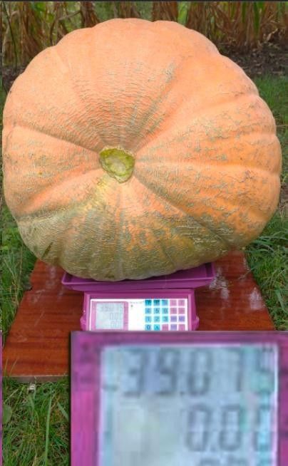 ����� ����� ������� � ���� ����������� ���������� ������