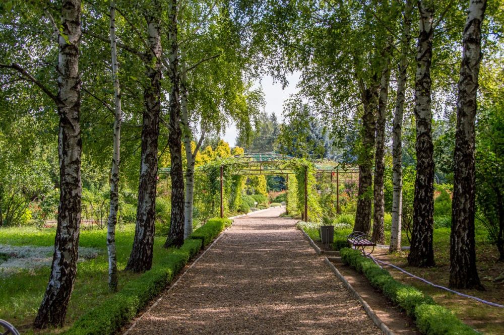 ������� �������� ������� ����� ������