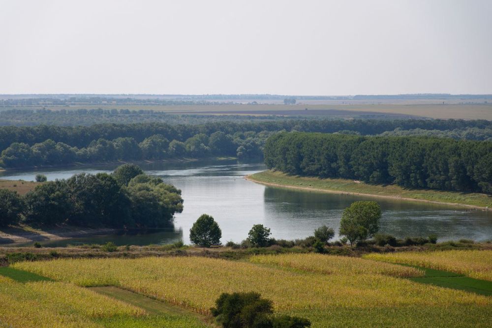 �������� ����������. � ����� ����������� ��������� �������������. ��������� ����� ����������� ���������. ��� ����� ������ ��������������� ���������� - �������������� ������� ���������� ������ ������������ � ������������