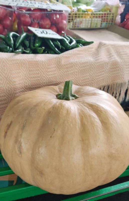 ��������������� ���������� �������� �������