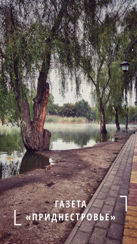 �������������� ���� ������ � ����� ������