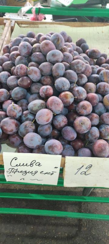 ����� ���������� �� 12 ������ �� ��. ���������� ����� �� ����� �������� ����