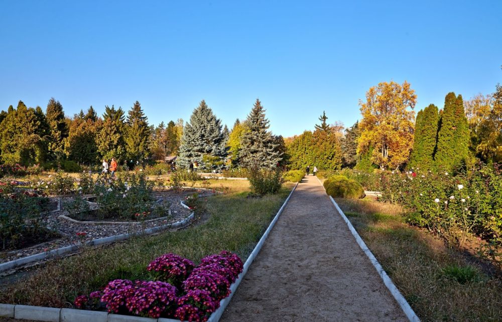 ���� ������� � ���������