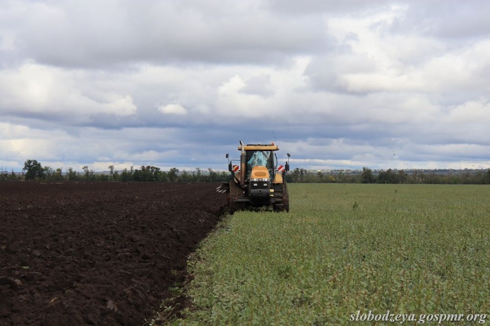 ������� ������� ������ ������� �� ����� �������������� ������