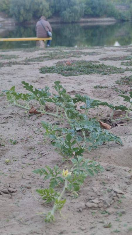 �� ��������� ����� � ��������� ������� ������ ����� � �����