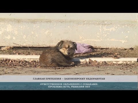 ��� ������ �������� �������� �����?