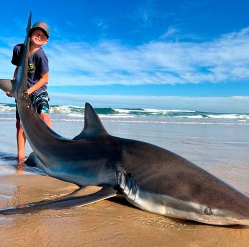 � ��� �e���������� ����� ������ �a ��o��� 146-�������������� �����, ������ ����� ��� ����, ������� �����o ������� ��������, � �o ����� ��� ���a� �� ���������� 2,5 ���o� ������� ������� ��o�