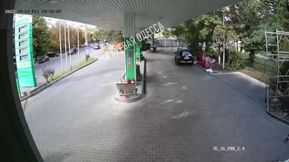 � ������ ������� ���������� ��������