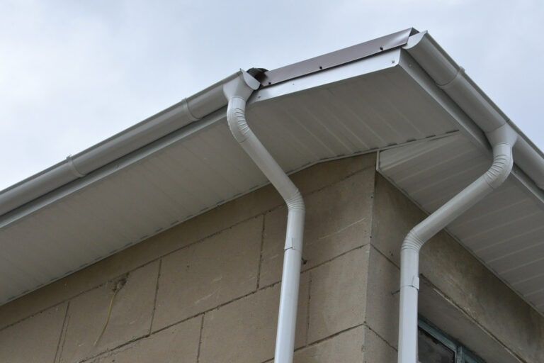 � ����� ������ ����� �� �������