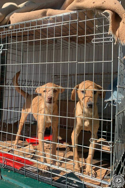 �������� ������� ��������� ��������