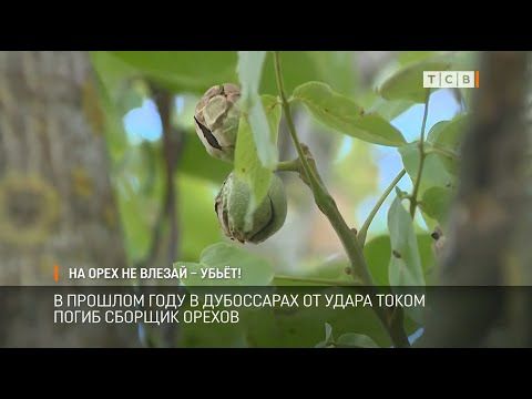 ������� ����� ����� ������. ����� ����� ������ ����� ������� ������� ���������. ������ ������� �� �������. � ��� ����� ������. � ������� ���� � ���������� ��� ����� ������