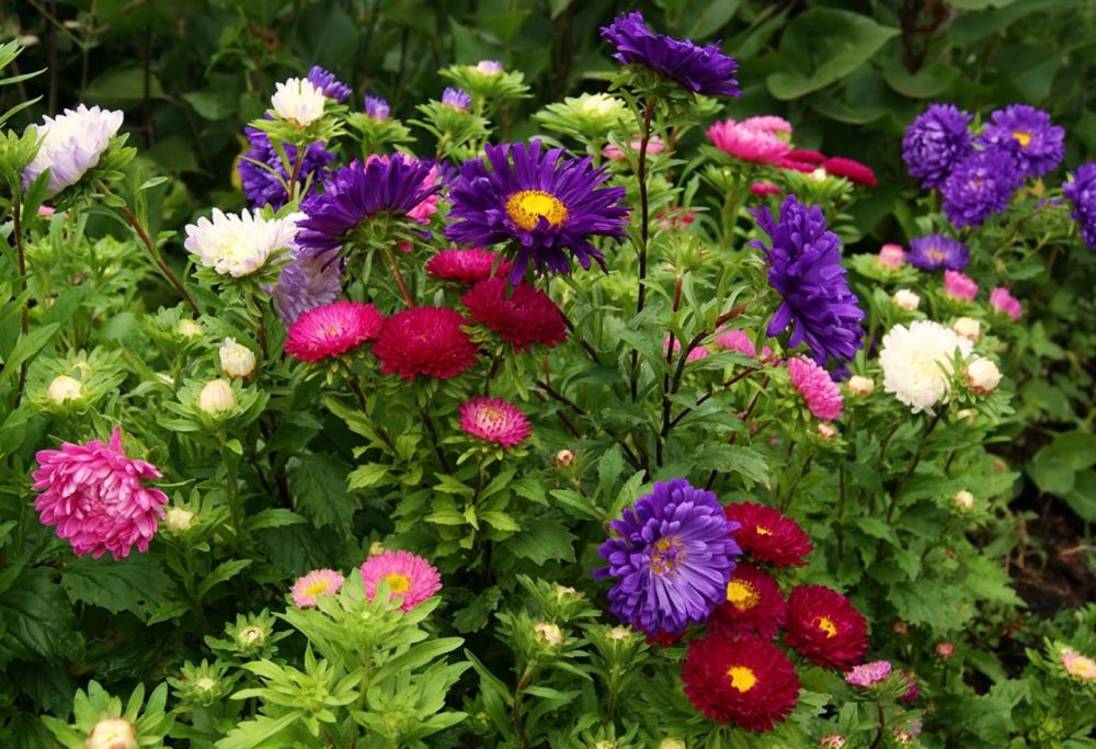 ��������� ����� ����!. 24 �������� ��������� ���������� ����������, ��� �������, ������� ��������� ����� �� ����� �� � ��