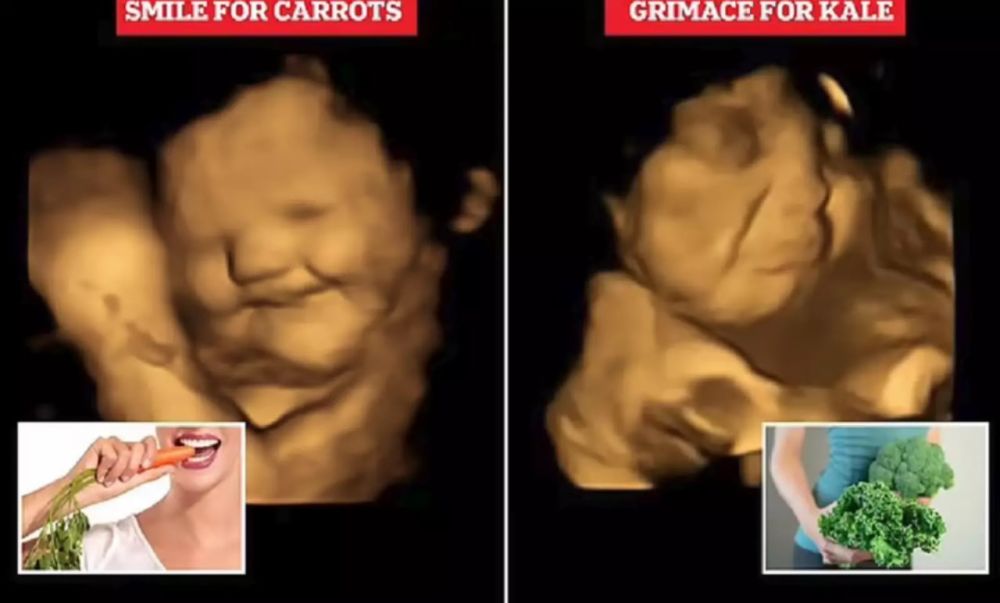 ������������� ��� ��������, ��� ���� ��������� �������� ��� � ������ ������