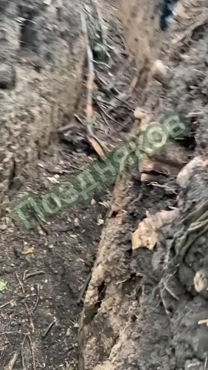 "��, ���� �����, ������!"