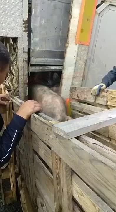 � �������� ��������� ����������� ���