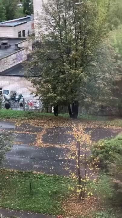 ��� ����� �� �������. ����������� ������ �������� � ����� �� ����. � ��� �����, ����� ��������, ���� ������ ����� �����. ���������� �������� � �����