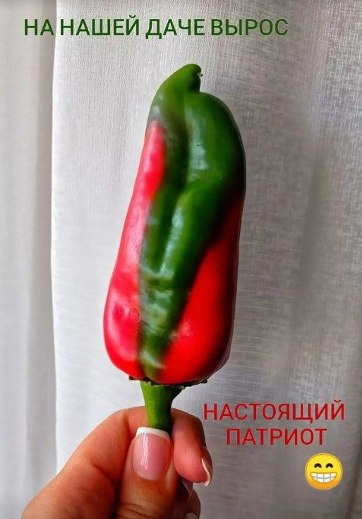 �����-������� ����� �� ���� ����� ����������