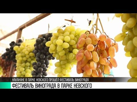 �������� ��������� �������� �� ���� ����������. � �����������, ���������� � ����������. ������ �����, ��� ����� � �������