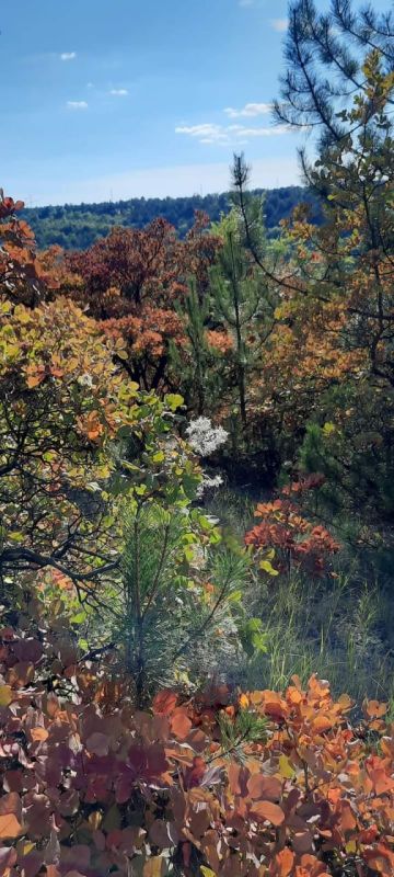 50 �������� ����� � ������������ ������