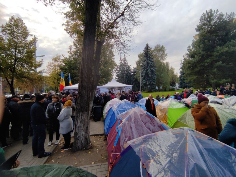 � ������� � ������ ���������� � ������������� ���������� ������������ ��������������������� ��������