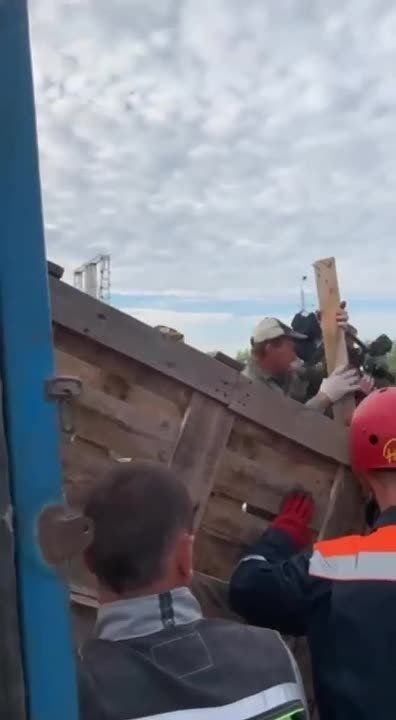 � ������ ���������� ��������