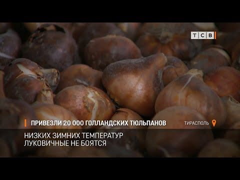 � ��������� �������� 20 000 ������� ����������� ���������. ������ ��� �������� �� ������ ��������������. ����� �� ������� � ��������������� �����������