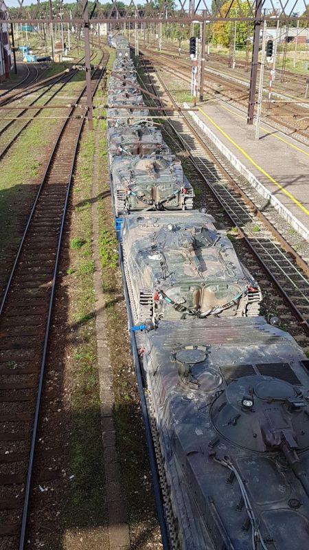 ������ ��� ���� � ����������� ������������ �� ������