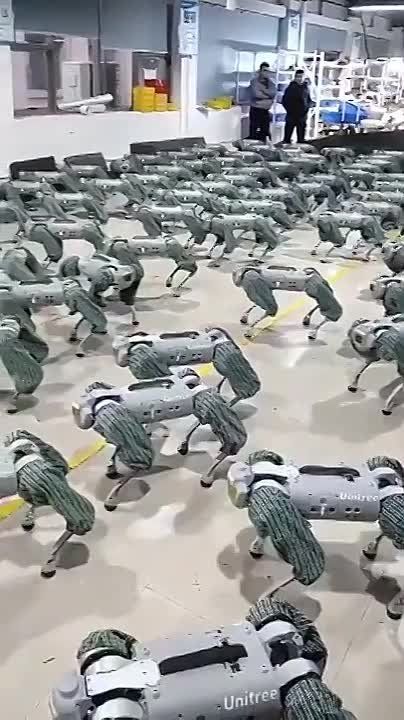 ��������� �����? �������� ����� ���, ��� ���������� ���� �������?