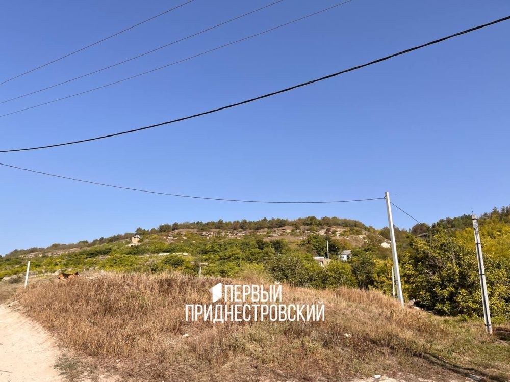 ������� � ���� �������. � ��������� ������ � ����� ��������� ���������� ���������: