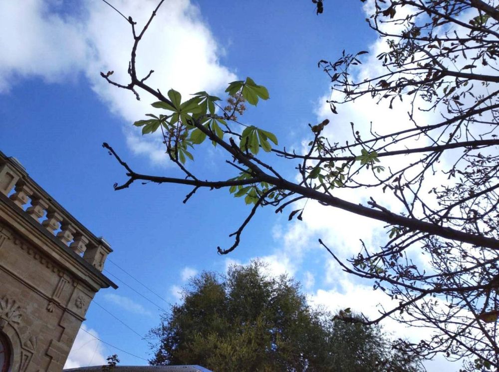 � �������� ������ ������