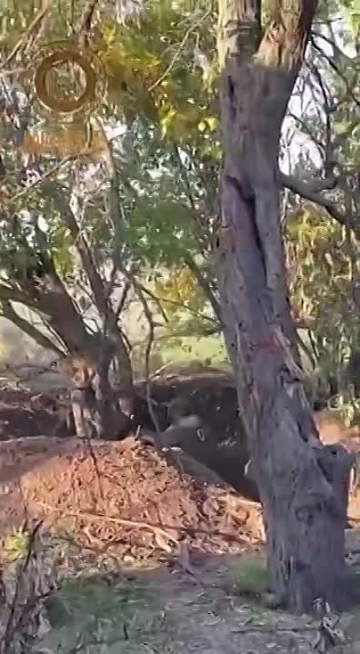 ����� �� ����� ������� ���� �� ������, ������� �������� ������ �� ������