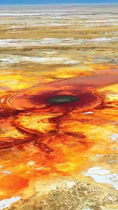 ���� ������. ������� �������� (�����) ����������� ������ ���, �� ��������� ������� ���